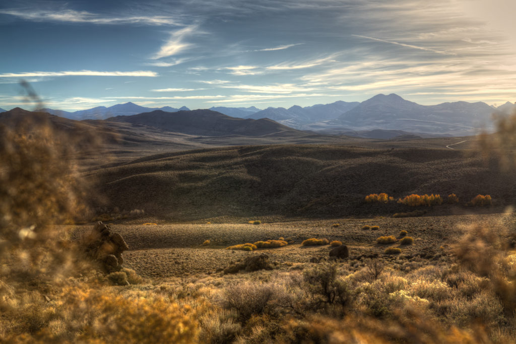 Near Body Ghost Town Nevada - USA