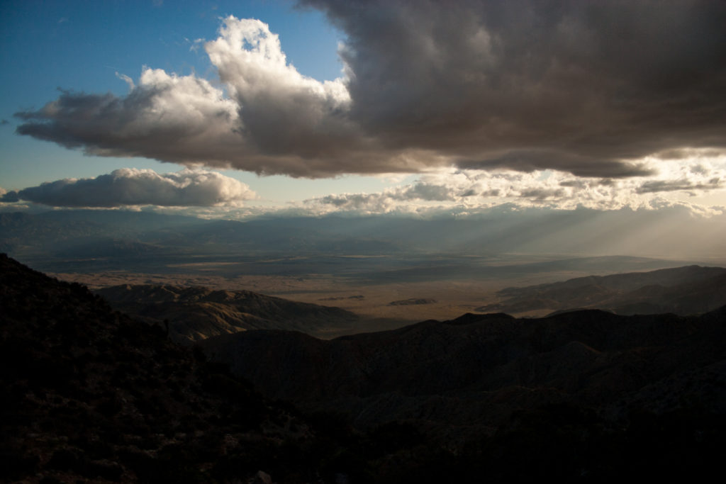 Yoshua Tree National Park - California USA