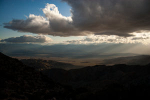Yoshua Tree National Park - California USA