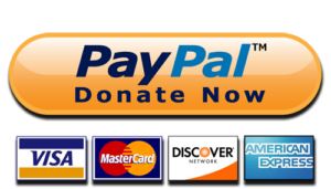 Paypal Donation Button